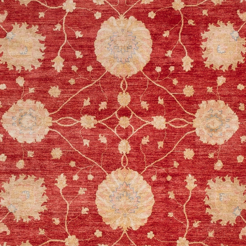 Ziegler Carpet firkantet  - 392 x 403 cm - rød