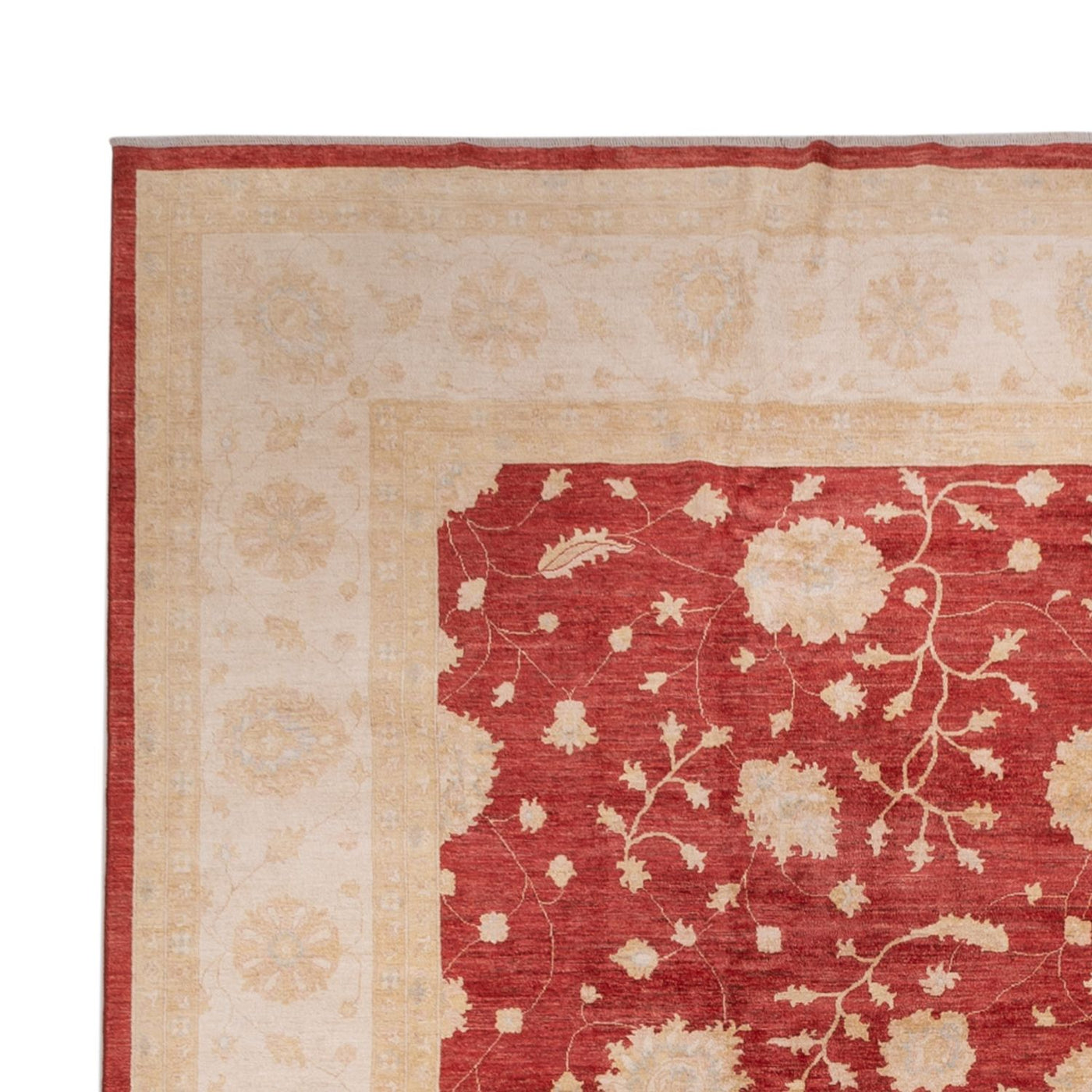 Ziegler Carpet 491x405cm - Orientalsk tæppe
