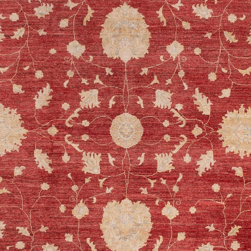 Ziegler Carpet - 444 x 310 cm - rød