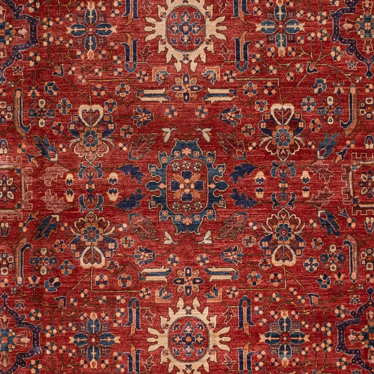 Ziegler Carpet - Ariana - 458 x 362 cm - rød