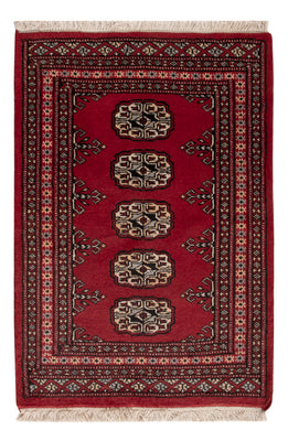 Pakistan Teppich - 89 x 61 cm - rot