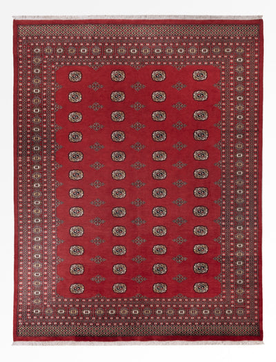 Pakistan Tæppe 251x331cm - Orientalsk tæppe