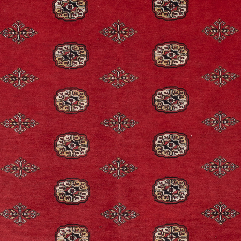 Pakistan Teppich - 331 x 251 cm - rot