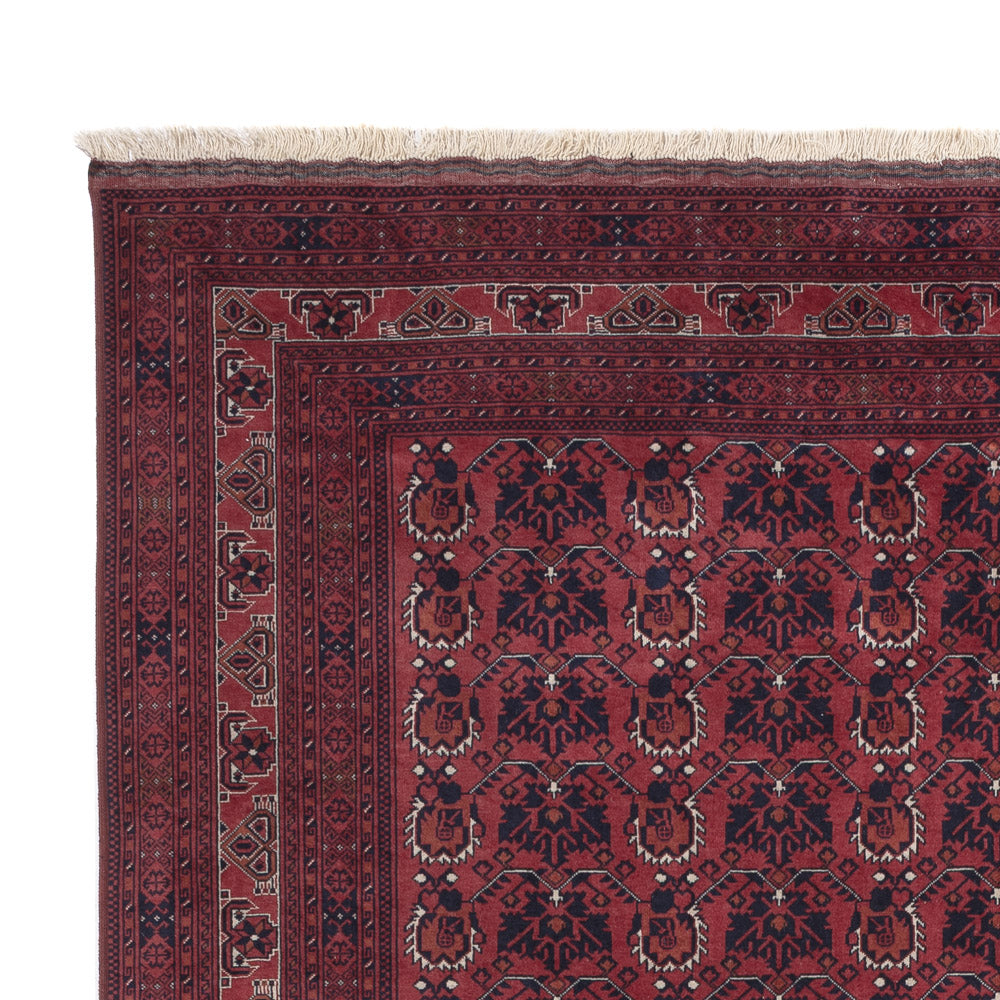 Afghansk tæppe 303x194cm - Orientalsk tæppe
