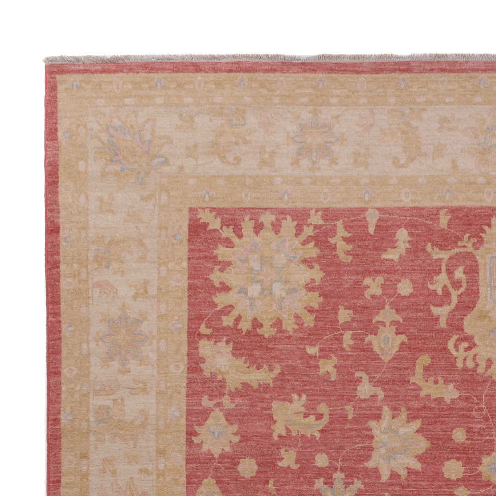 Ziegler Carpet 256x367cm - Orientalsk tæppe