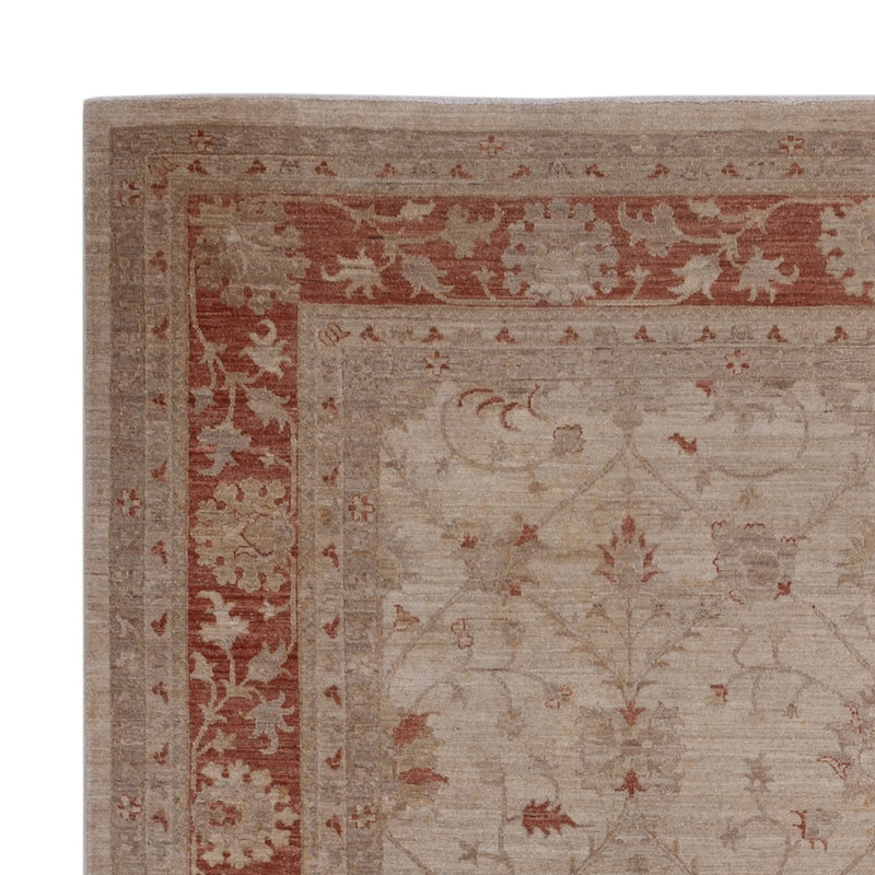 Ziegler Teppich - 302 x 244 cm - beige
