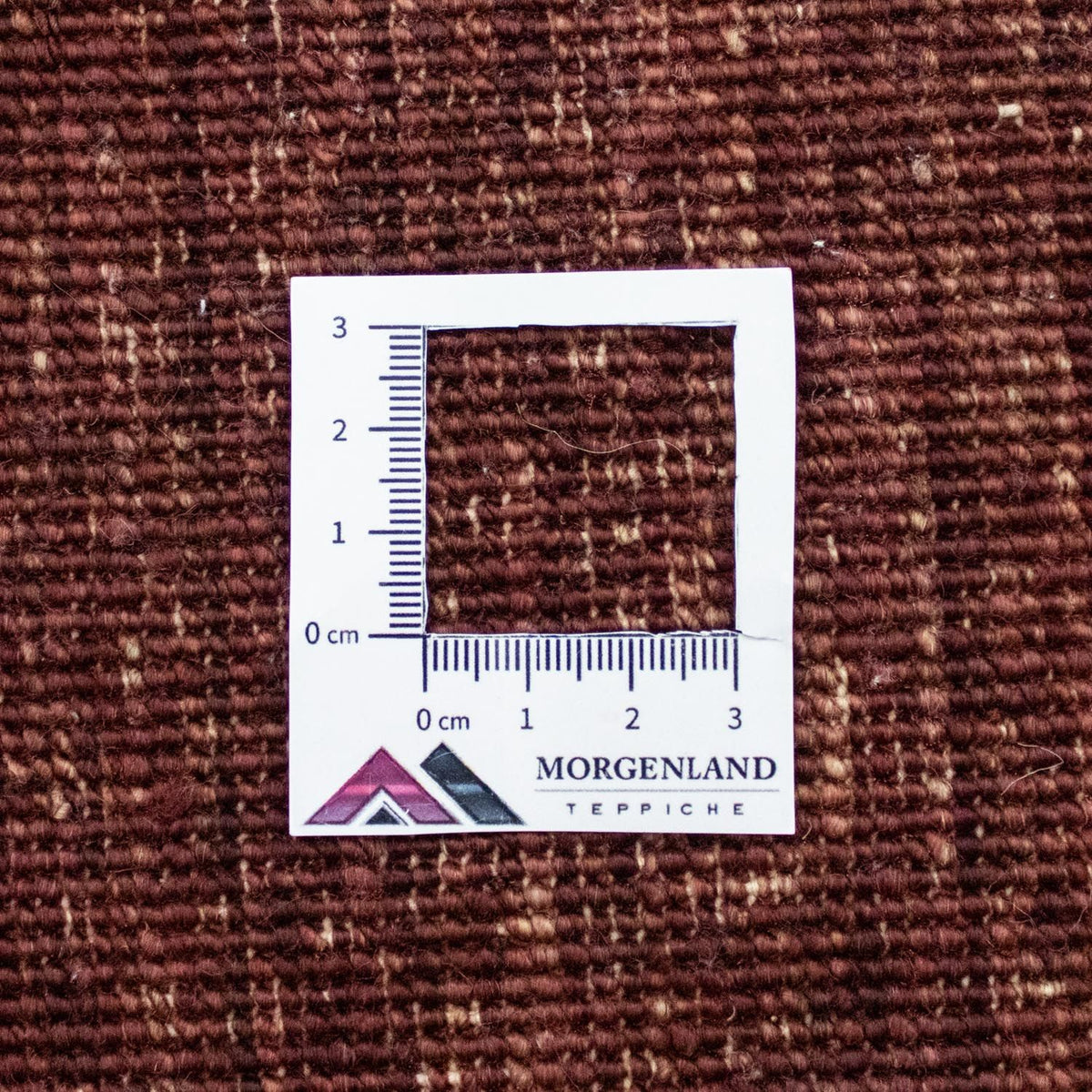 Ziegler Carpet - 237 x 172 cm - farvet