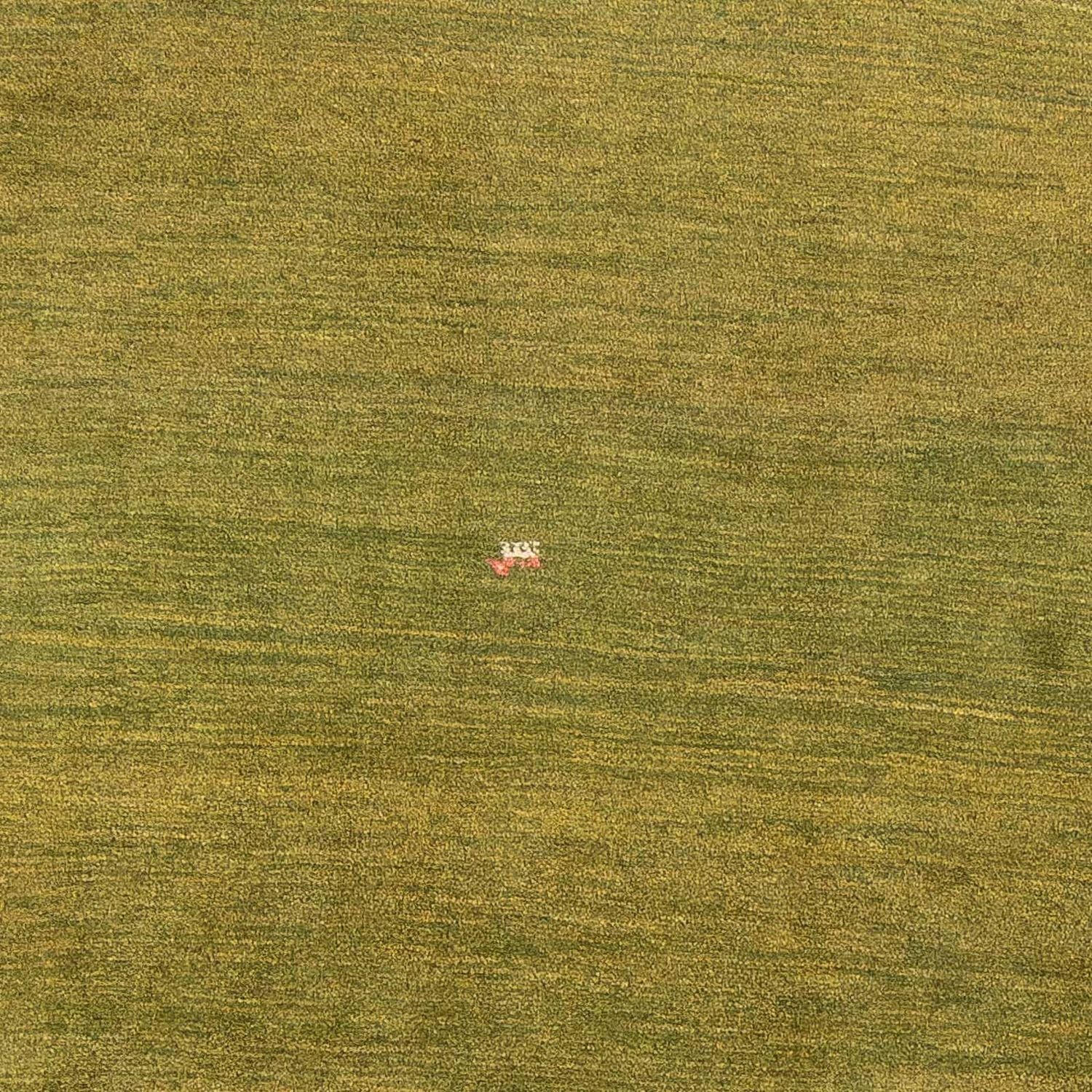Gabbeh-tæppe - Persisk - 302 x 200 cm - grøn
