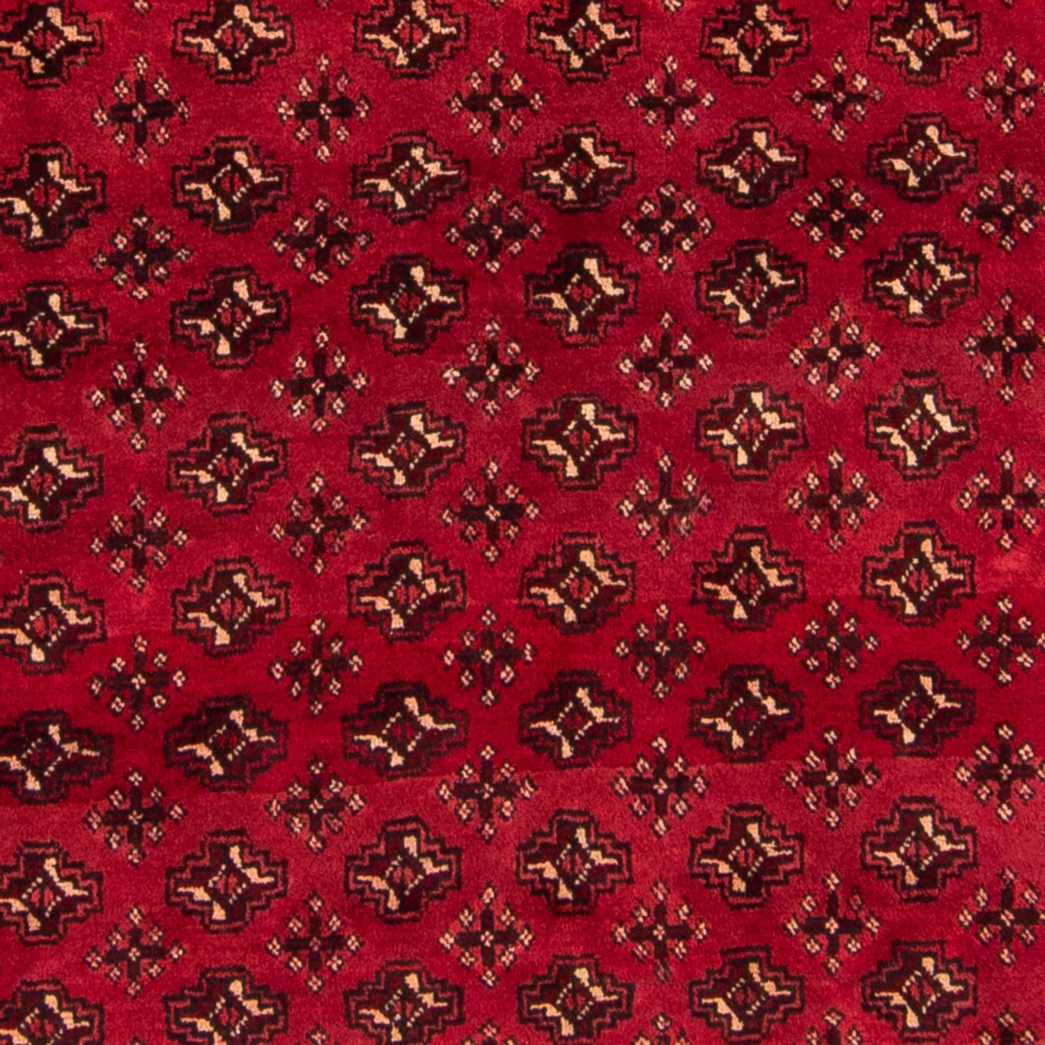 Turkaman-tæppe - 239 x 130 cm - rød