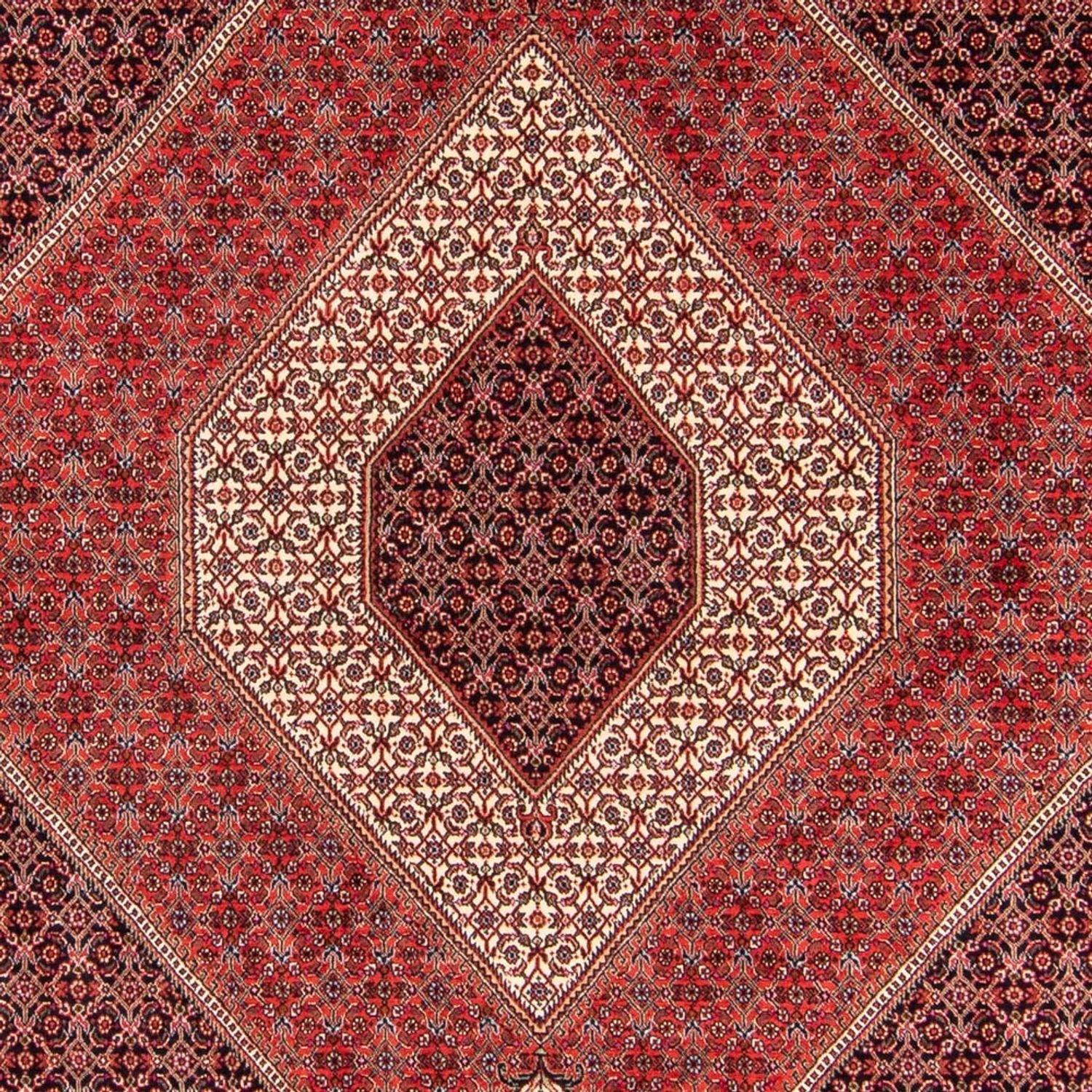 Persisk tæppe - Bijar - Royal - 240 x 175 cm - rød