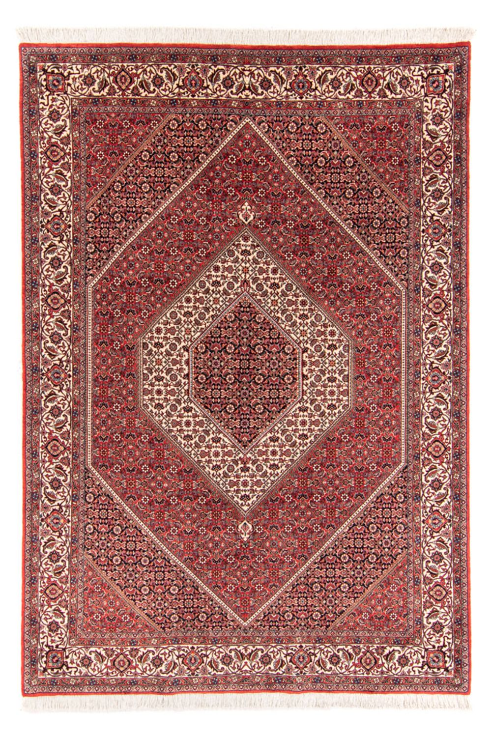 Persisk tæppe - Bijar - Royal - 252 x 174 cm - rød