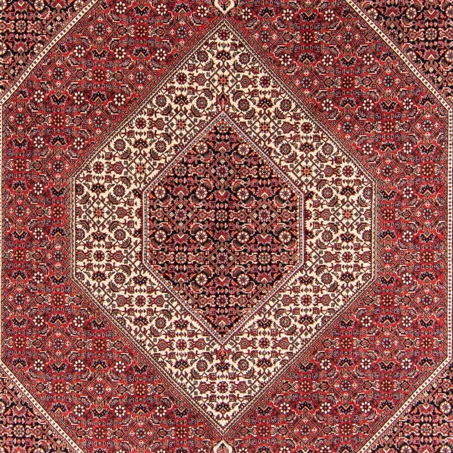 Persisk tæppe - Bijar - Royal - 252 x 174 cm - rød