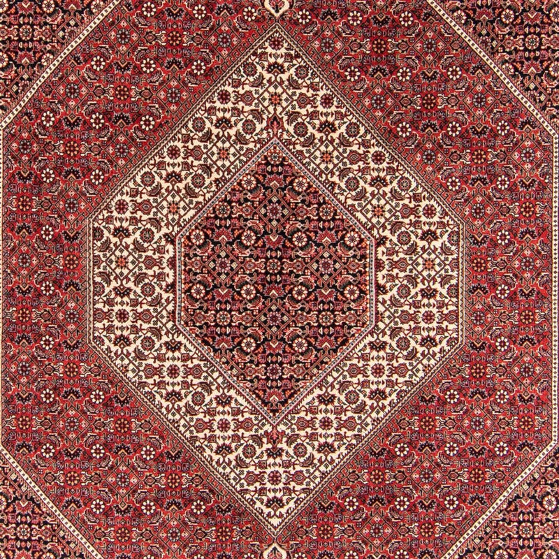 Persisk tæppe - Bijar - Royal - 252 x 174 cm - rød