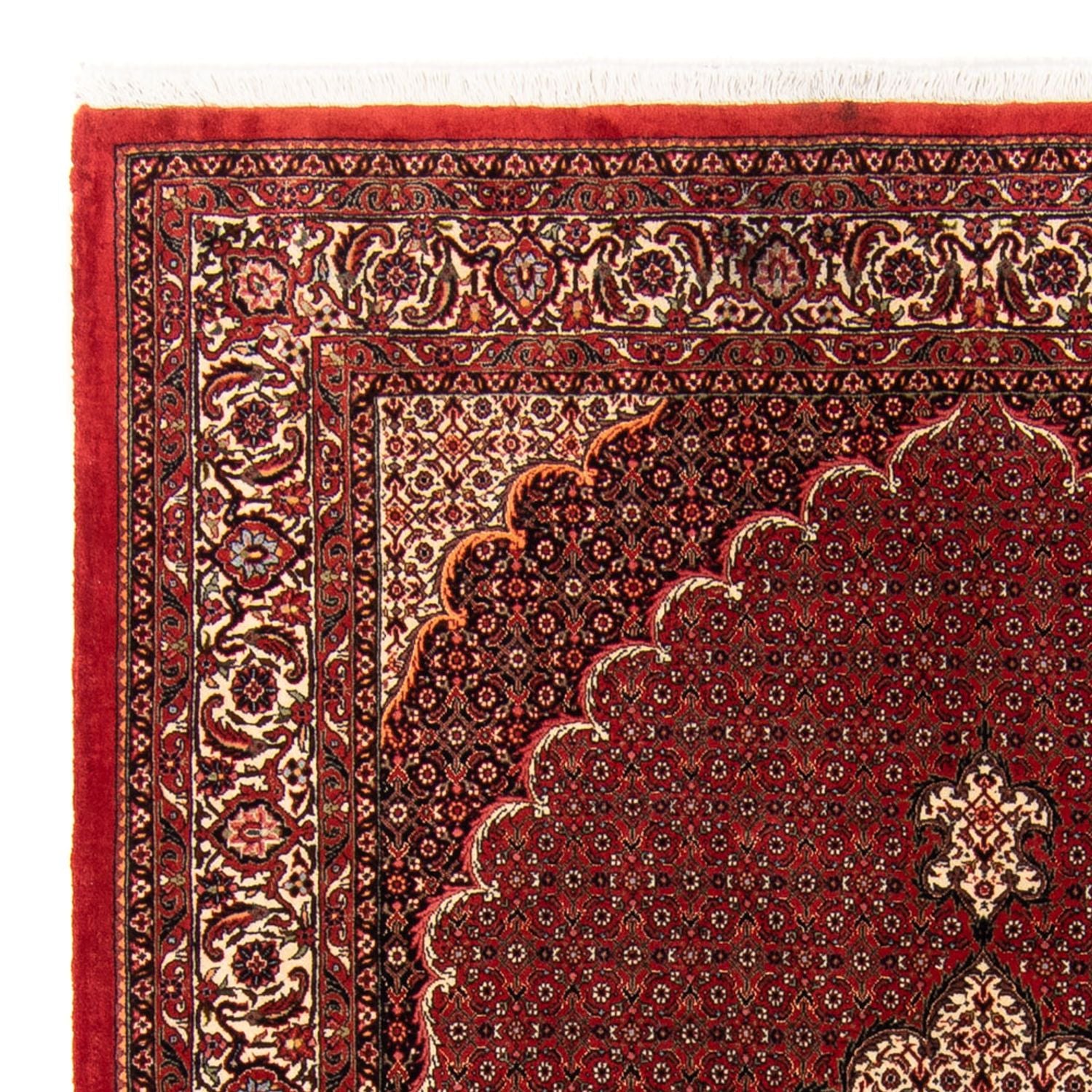 Persisk tæppe - Bijar - Royal - 234 x 168 cm - rød