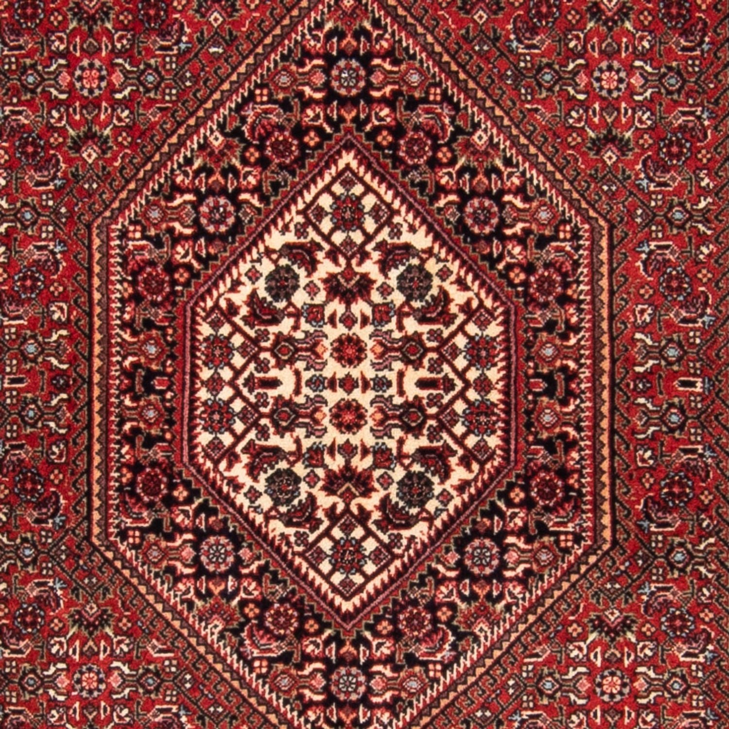 Persisk tæppe - Bijar - Royal - 150 x 90 cm - rød