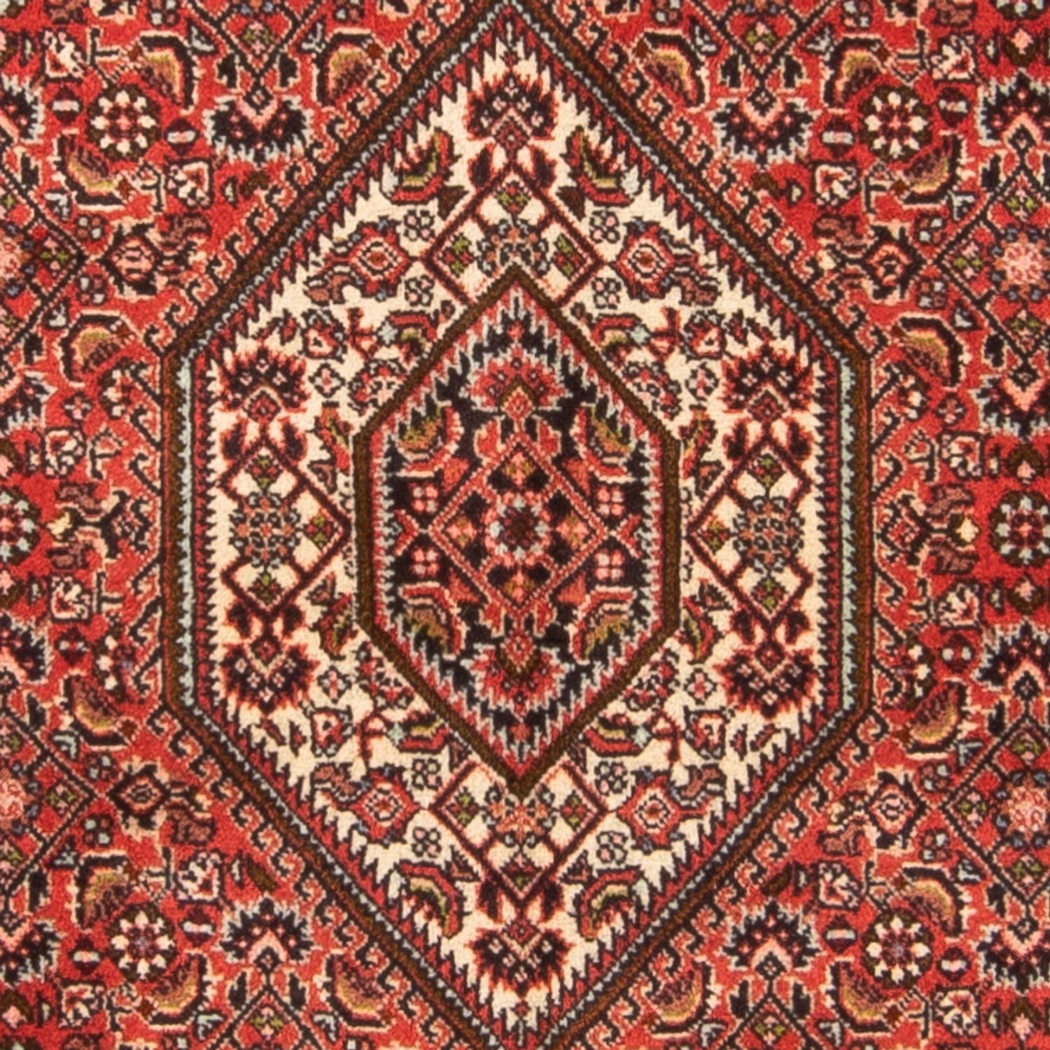 Persisk tæppe - Bijar - Royal - 137 x 81 cm - rød