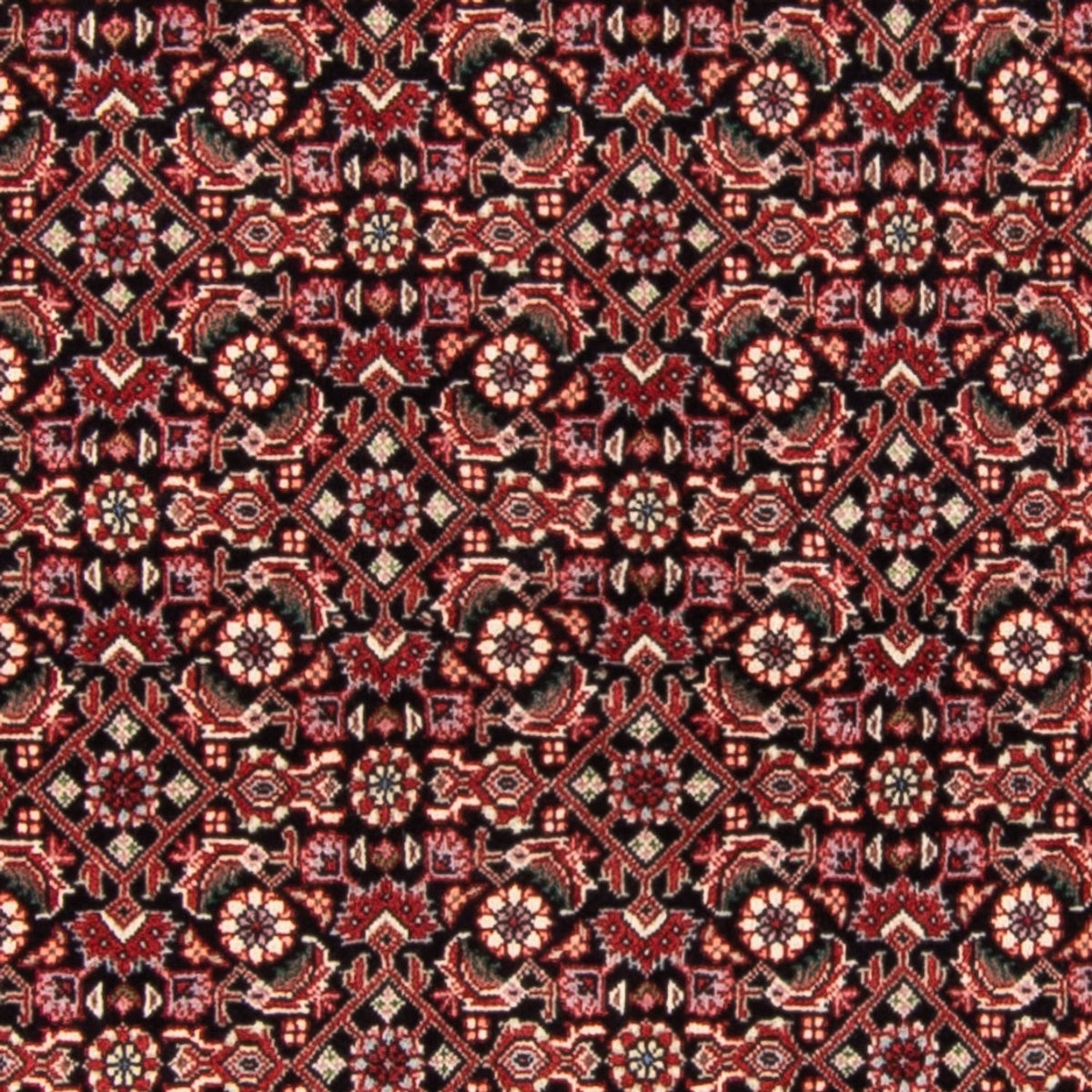 Persisk tæppe - Bijar - Royal - 163 x 111 cm - mørkeblå