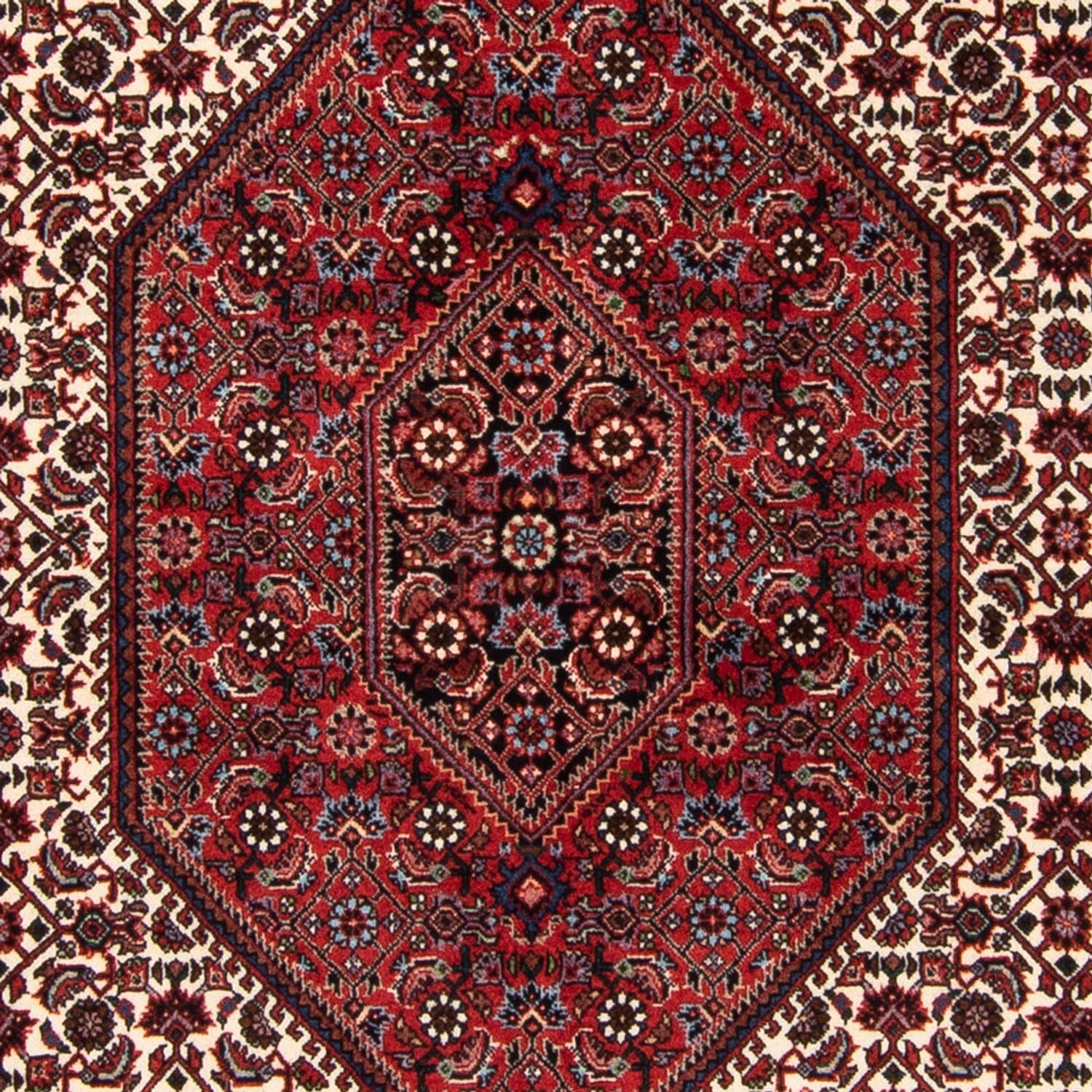 Persisk tæppe - Bijar - Royal - 183 x 114 cm - flerfarvet