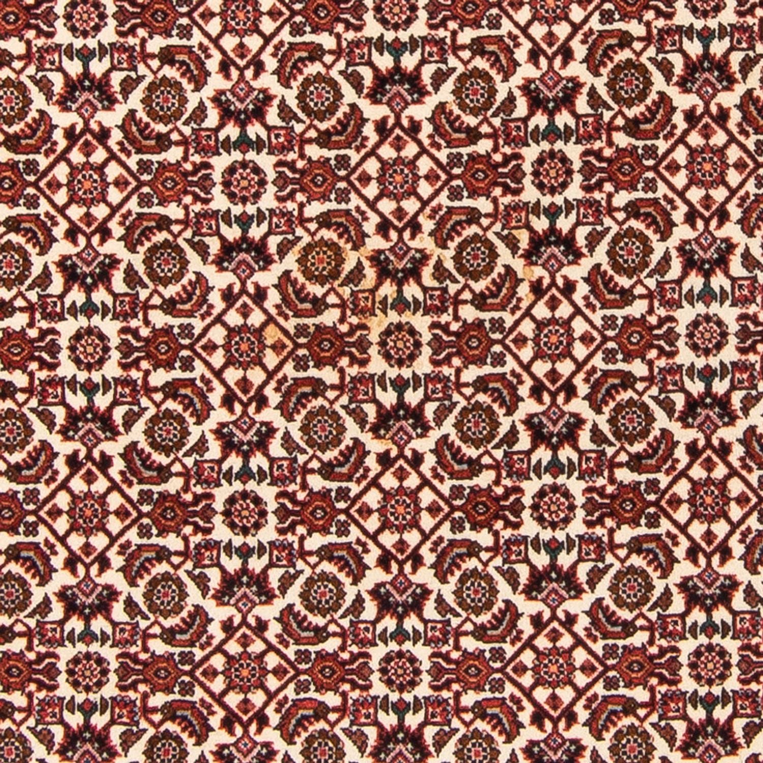 Persisk tæppe - Bijar - Royal - 181 x 110 cm - beige