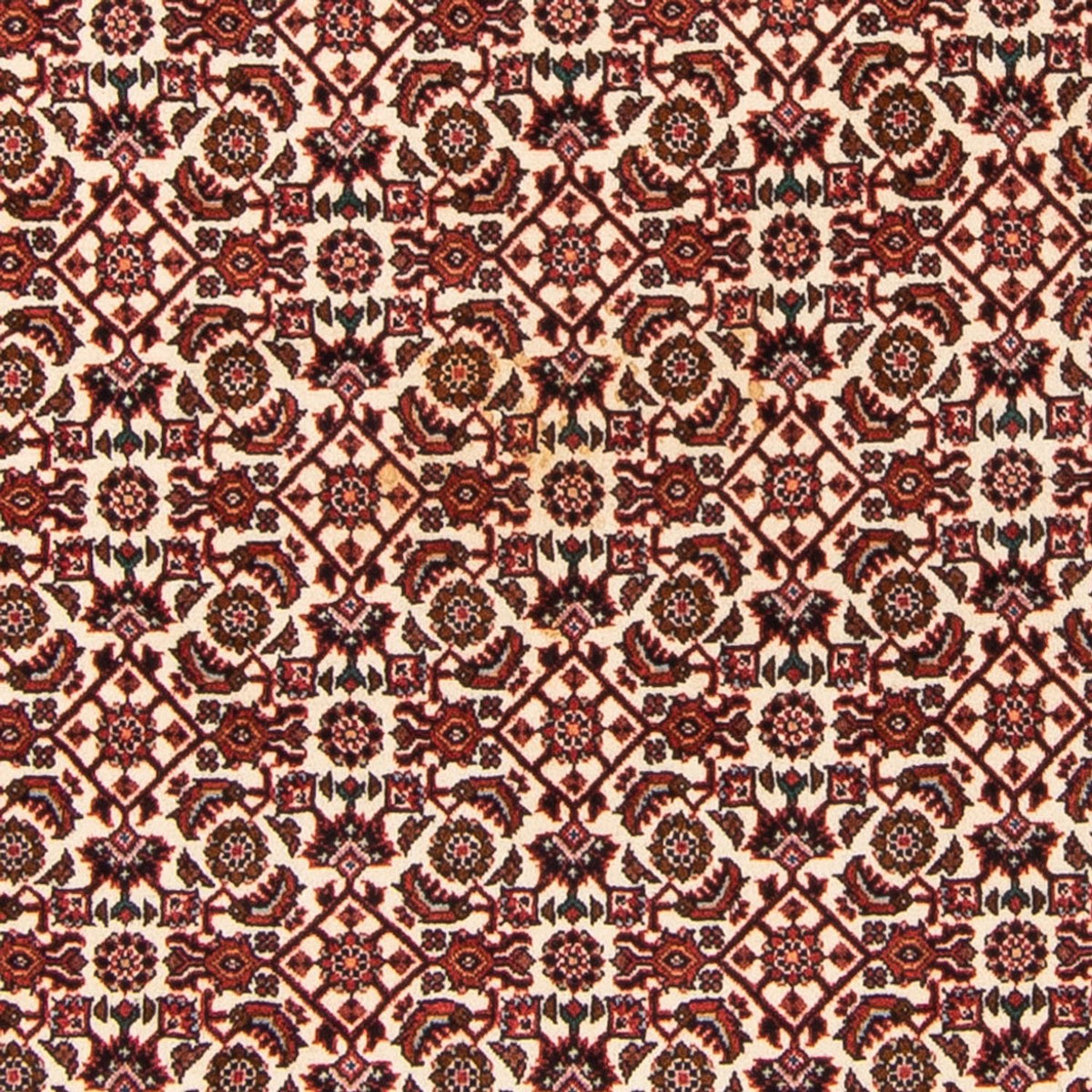Persisk tæppe - Bijar - Royal - 181 x 110 cm - beige