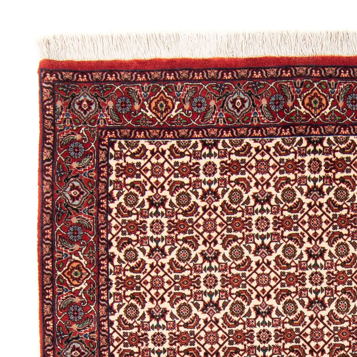 Persisk tæppe - Bijar - Royal - 181 x 110 cm - beige