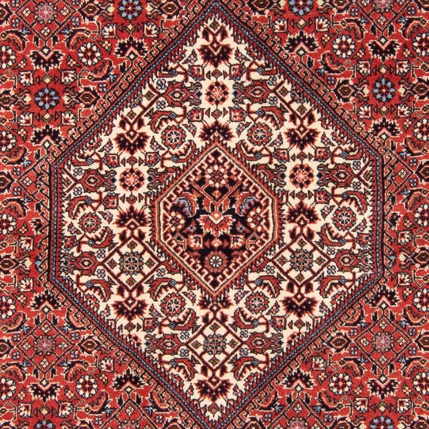 Persisk tæppe - Bijar - Royal - 181 x 112 cm - rød