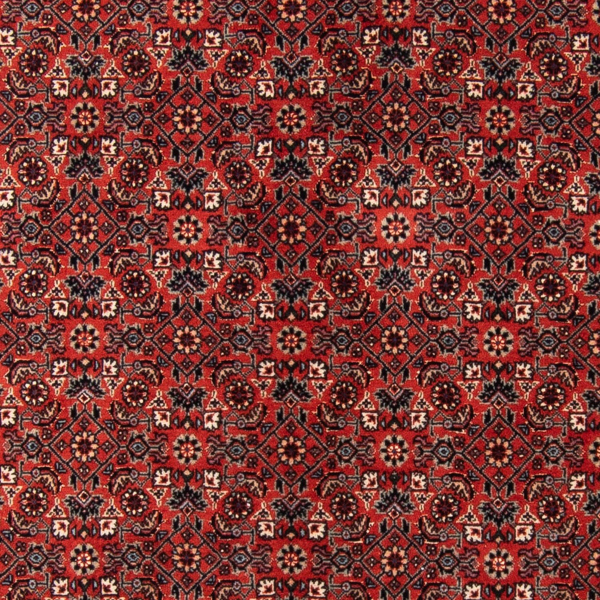 Løber Persisk tæppe - Bijar - Royal - 205 x 102 cm - rød