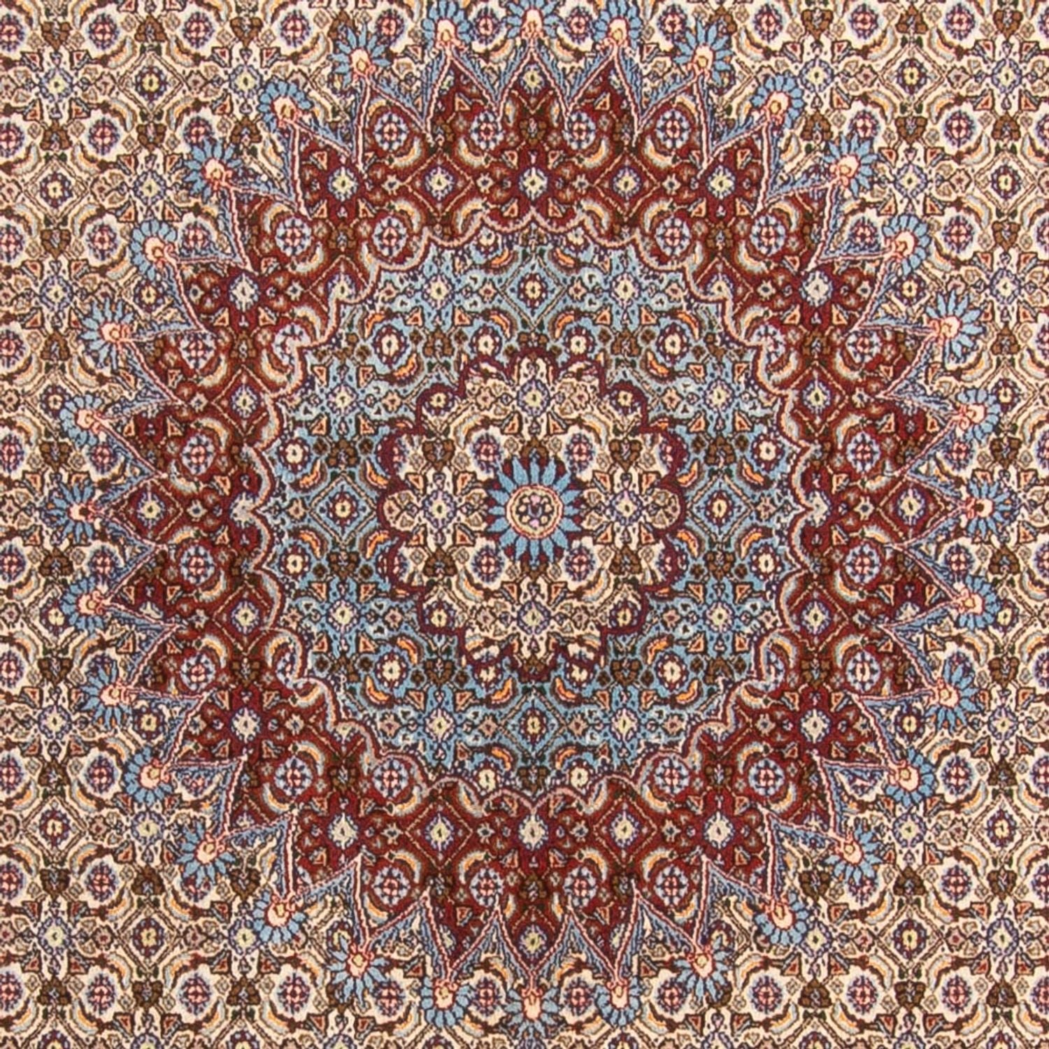 Persisk tæppe - Classic - 303 x 195 cm - beige