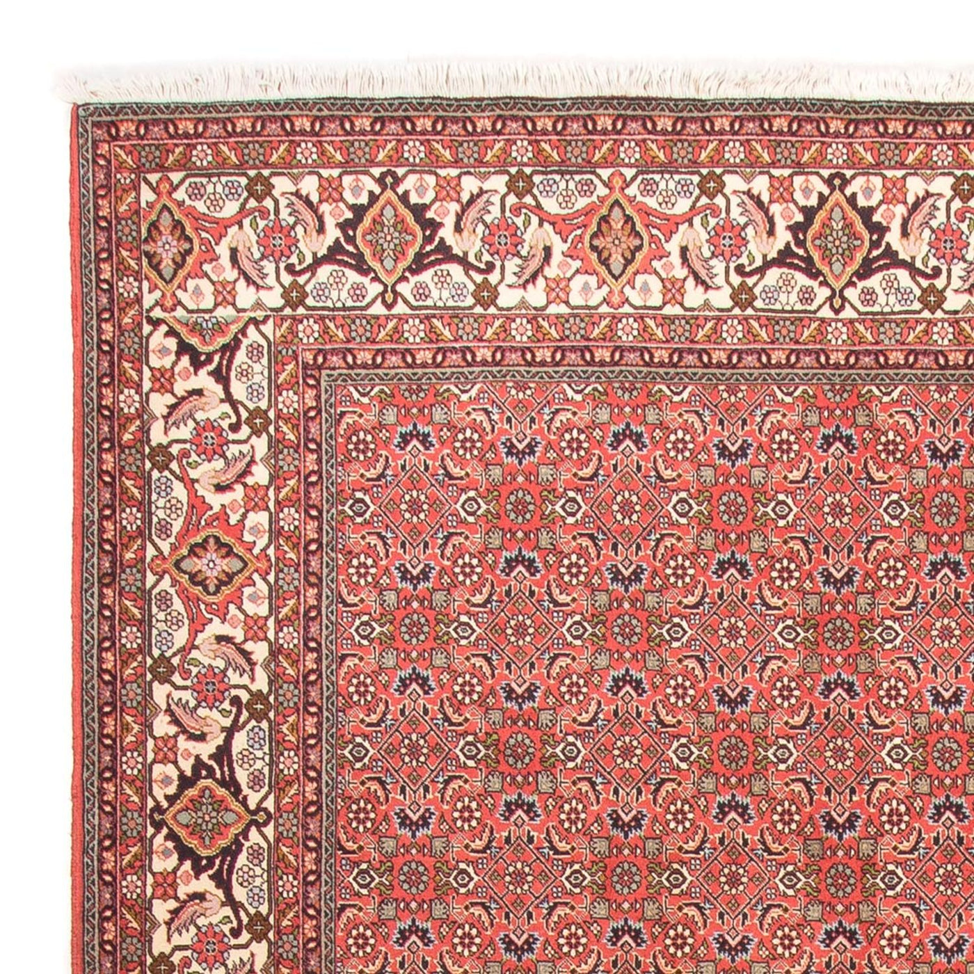 Bidjar - Takab Tæppe 300x198cm - Persisk tæppe