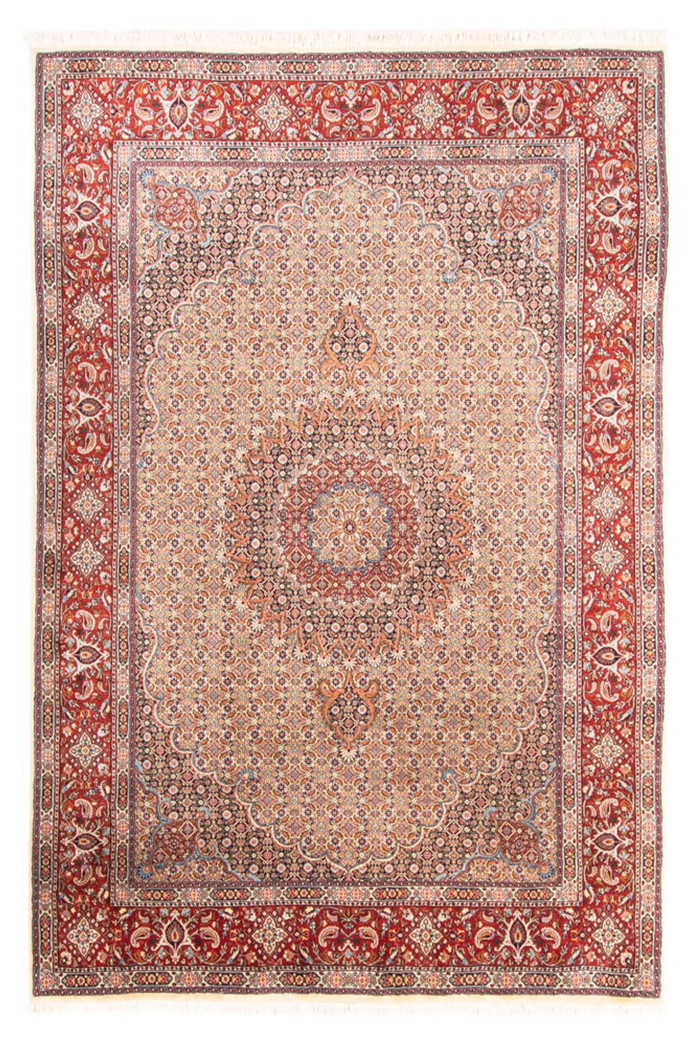 Persisk tæppe - Classic - 300 x 202 cm - flerfarvet