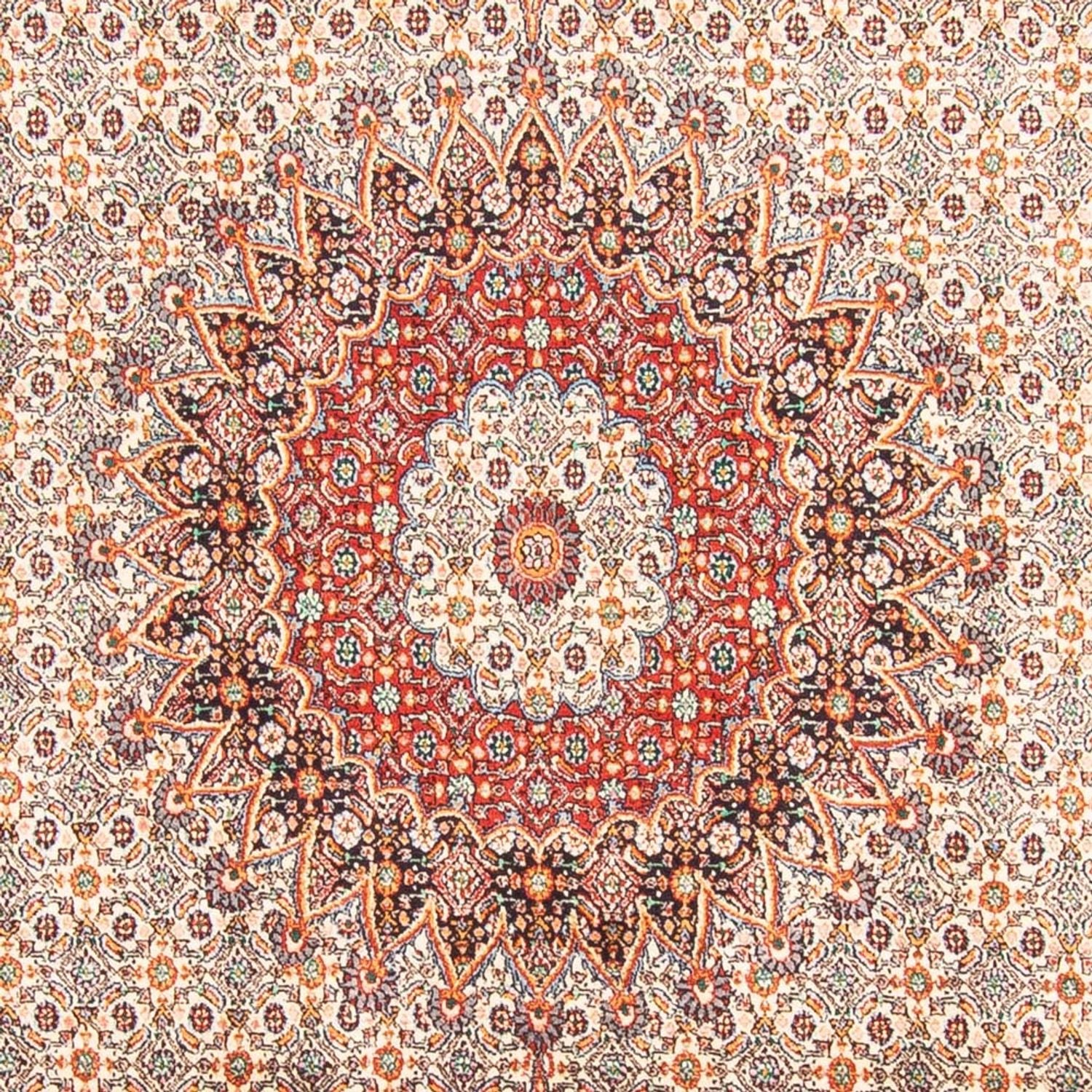 Persisk tæppe - Classic - 299 x 198 cm - beige