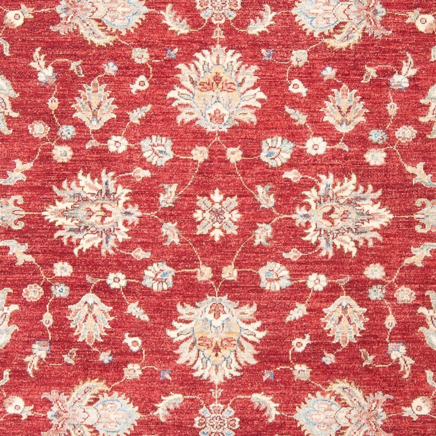 Ziegler Carpet - 243 x 178 cm - rød