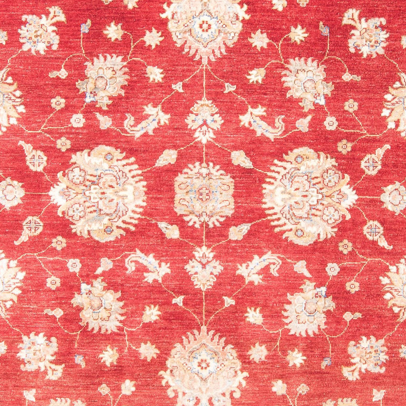 Ziegler Carpet - 258 x 182 cm - rød