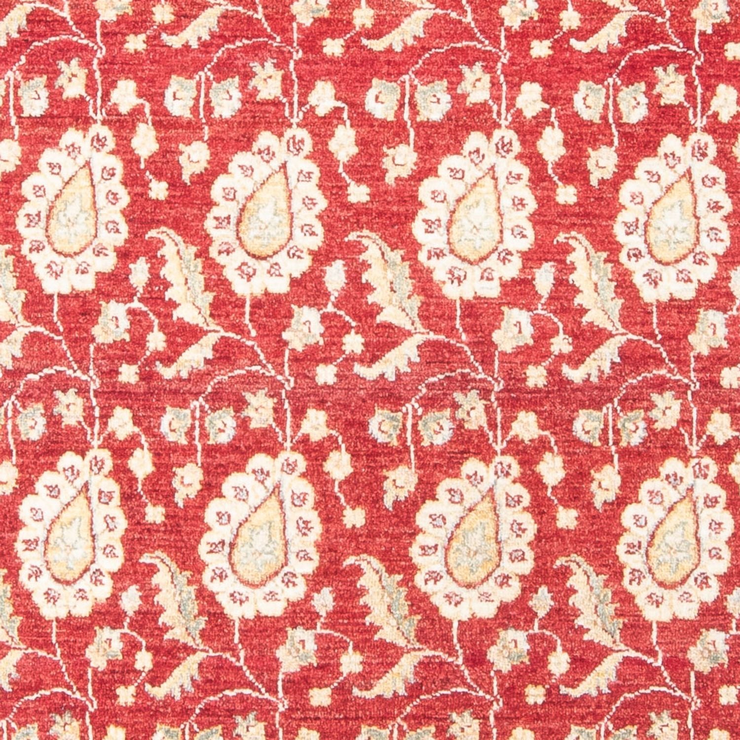 Ziegler Carpet - 174 x 121 cm - rød