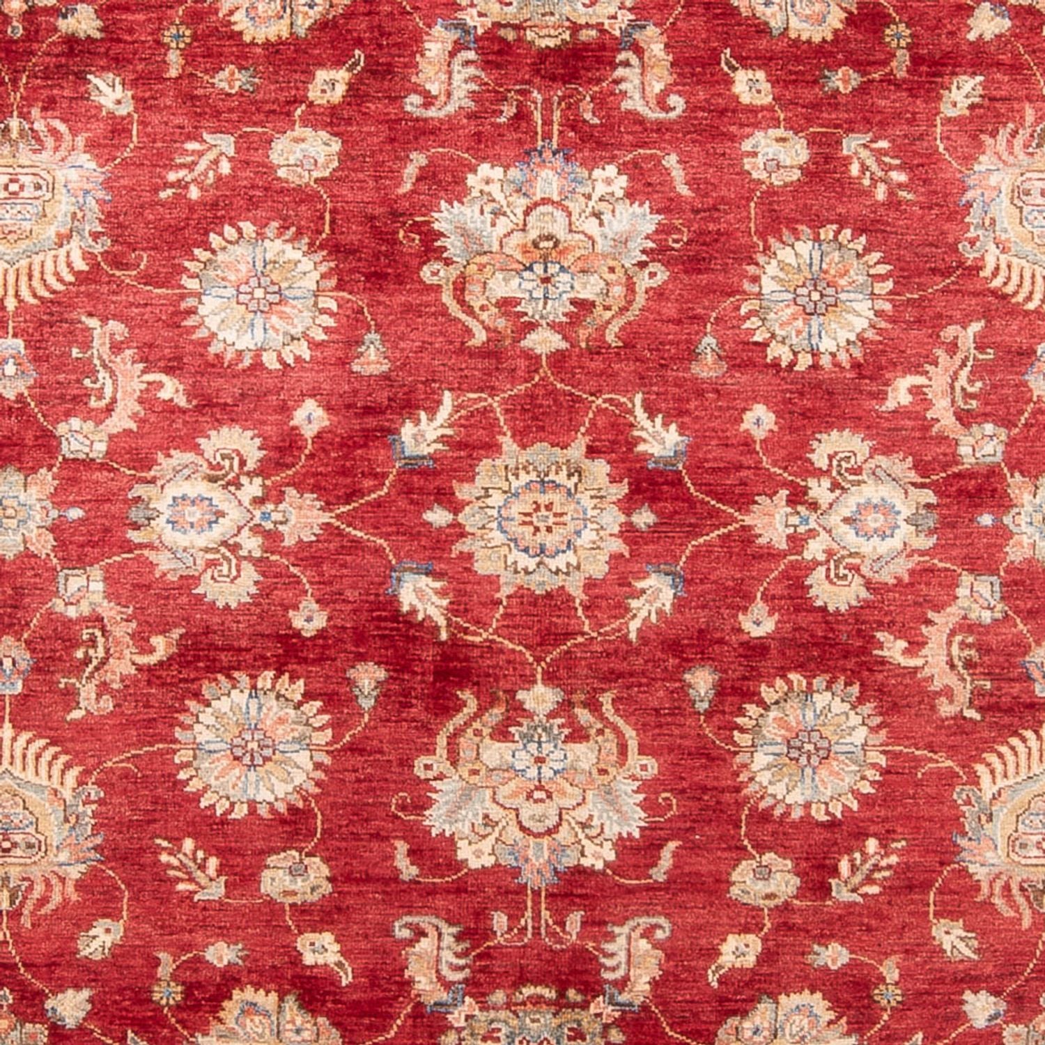 Ziegler Carpet - 298 x 209 cm - rød