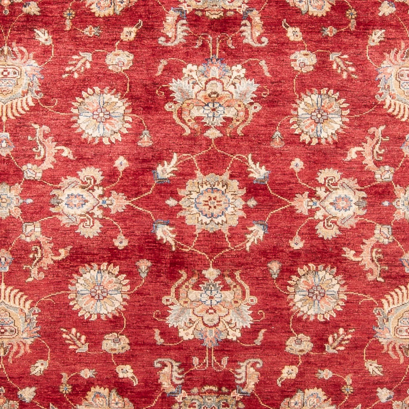 Ziegler Carpet - 298 x 209 cm - rød