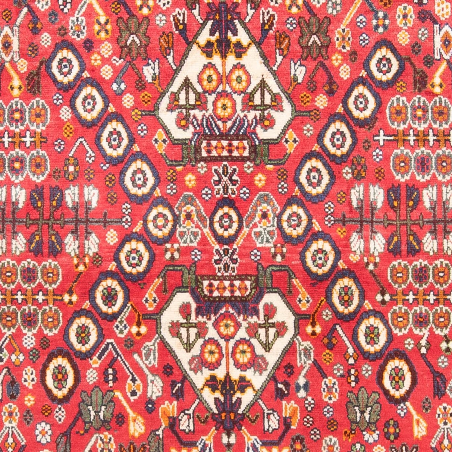 Persisk tæppe - Nomadisk - 252 x 155 cm - rød