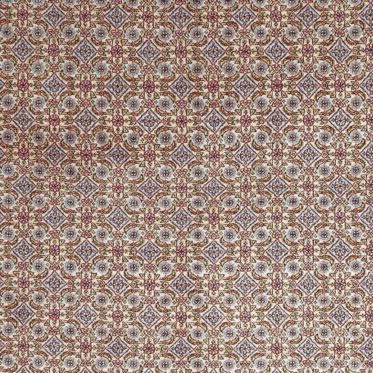 Persisk tæppe - Classic - 238 x 164 cm - lysegrå