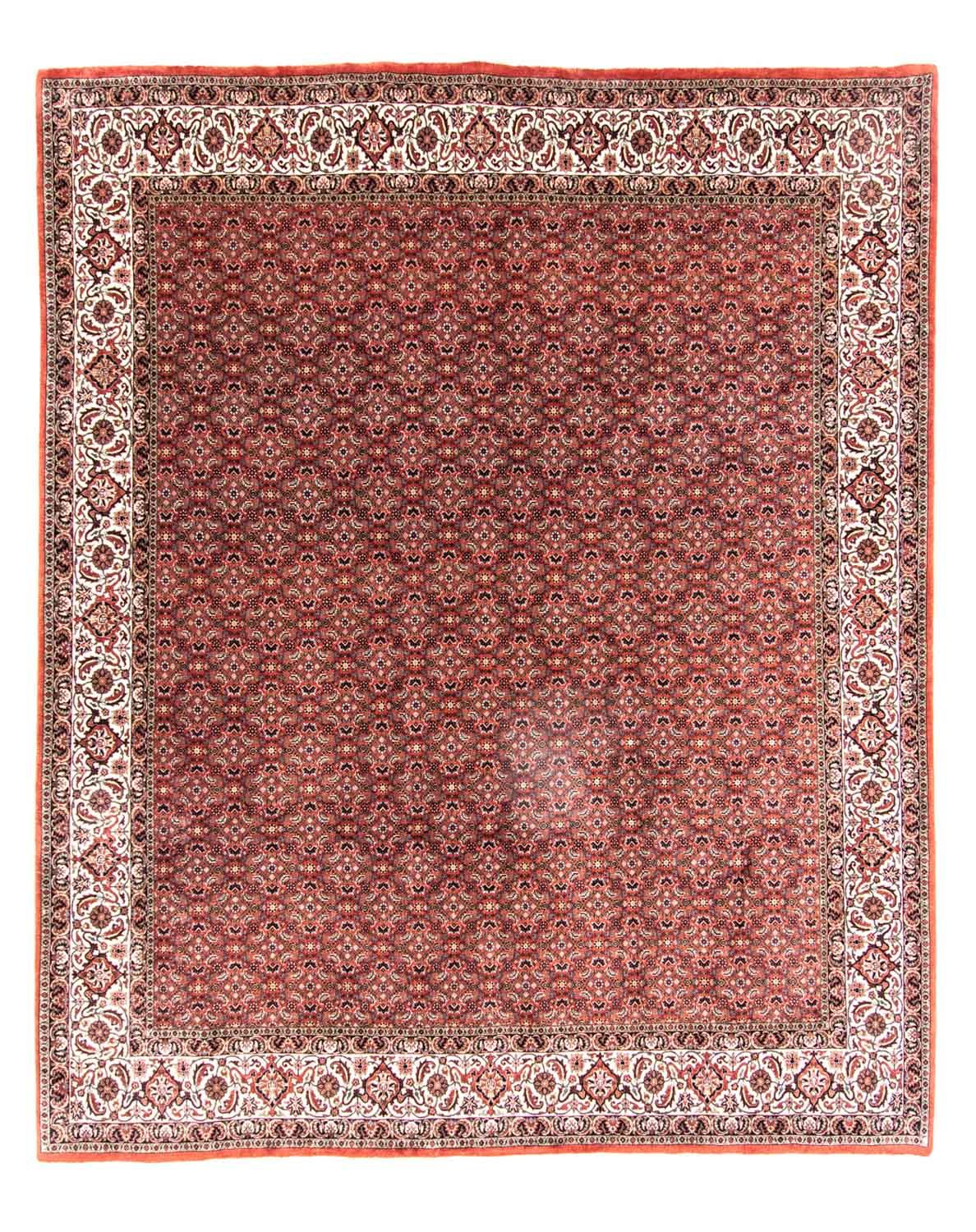 Persisk tæppe - Bijar - 301 x 256 cm - brun