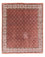 Persisk tæppe - Bijar - 301 x 256 cm - brun