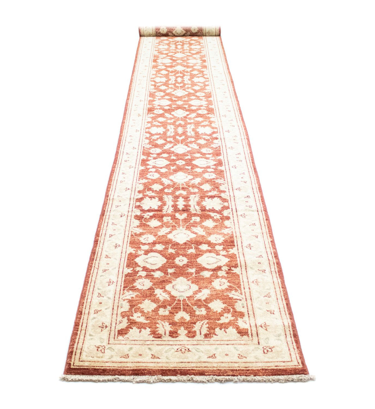 Løber Ziegler Carpet - 532 x 76 cm - brun