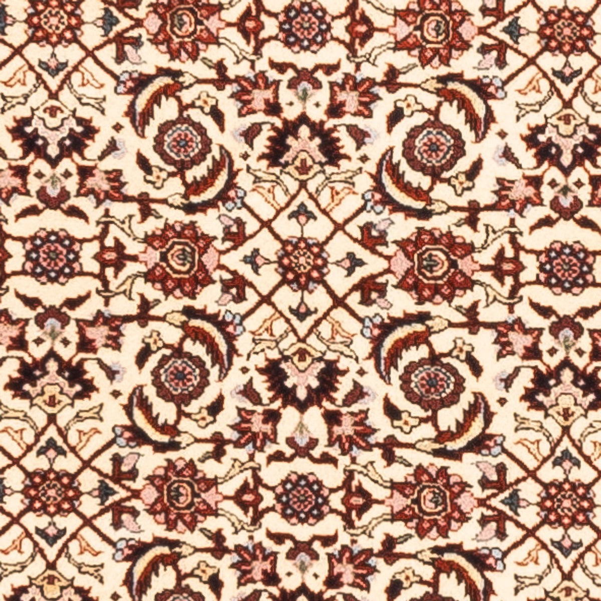 Løber Persisk tæppe - Bijar - Royal - 300 x 80 cm - creme