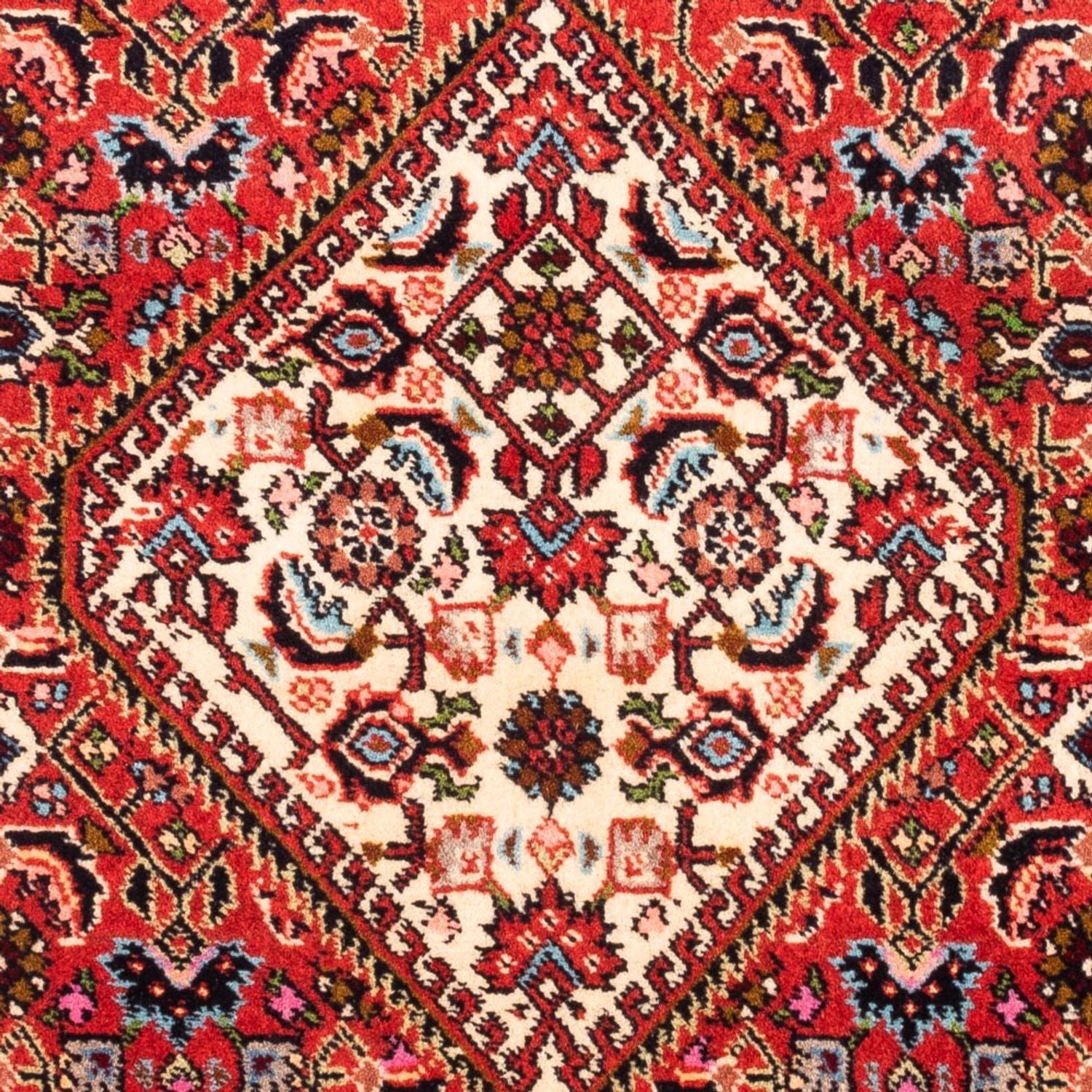 Persisk tæppe - Bijar - Royal - 86 x 63 cm - rød