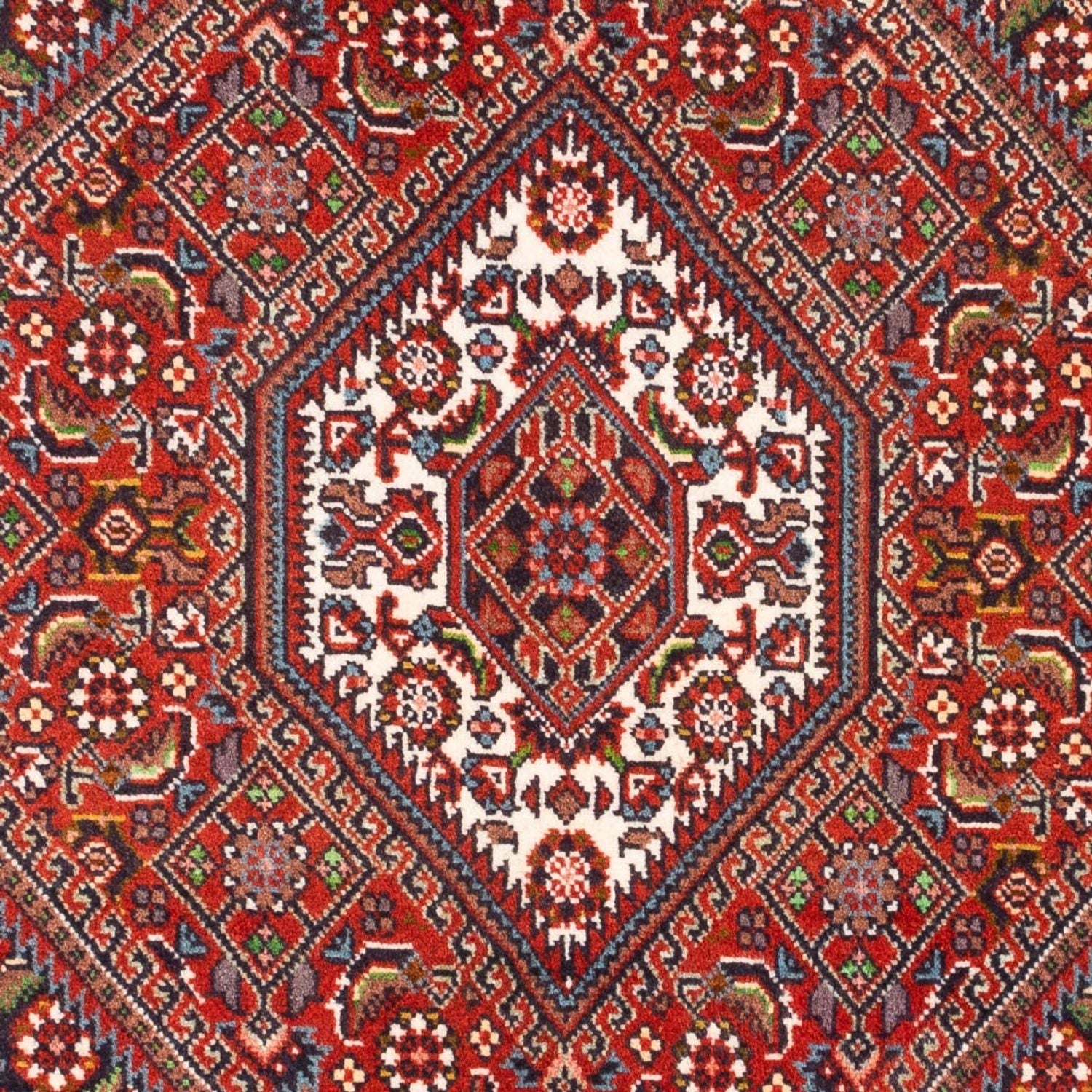 Persisk tæppe - Bijar - Royal - 100 x 72 cm - rød
