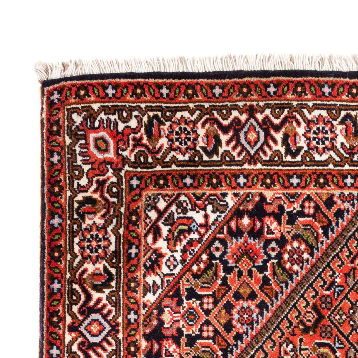 Bidjar - Bukan Tæppe 71x104cm - Persisk tæppe