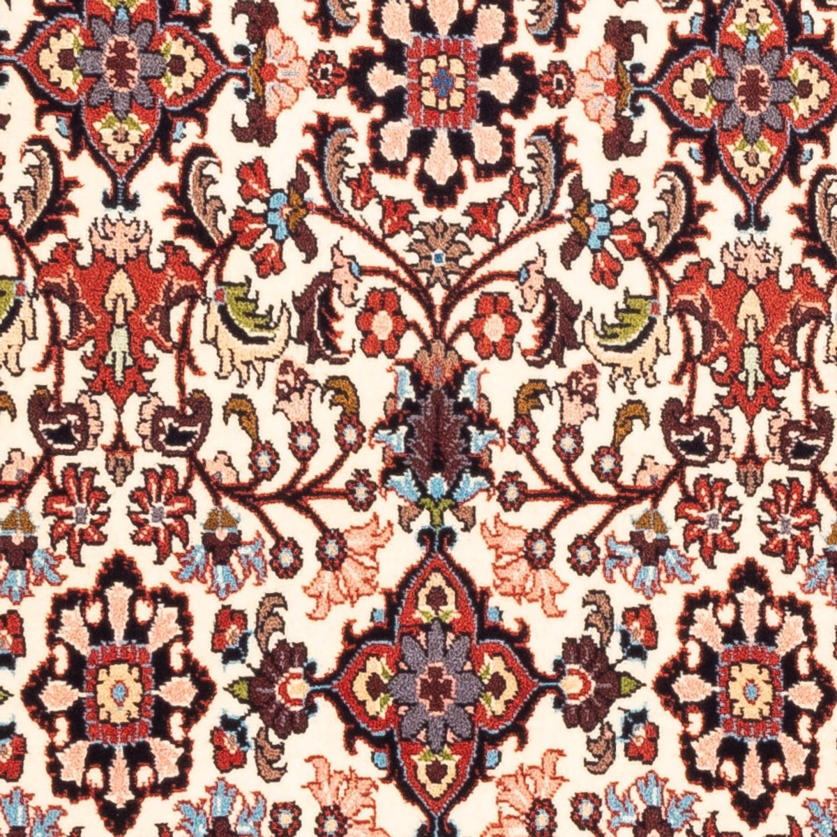 Persisk tæppe - Bijar - Royal - 146 x 81 cm - beige