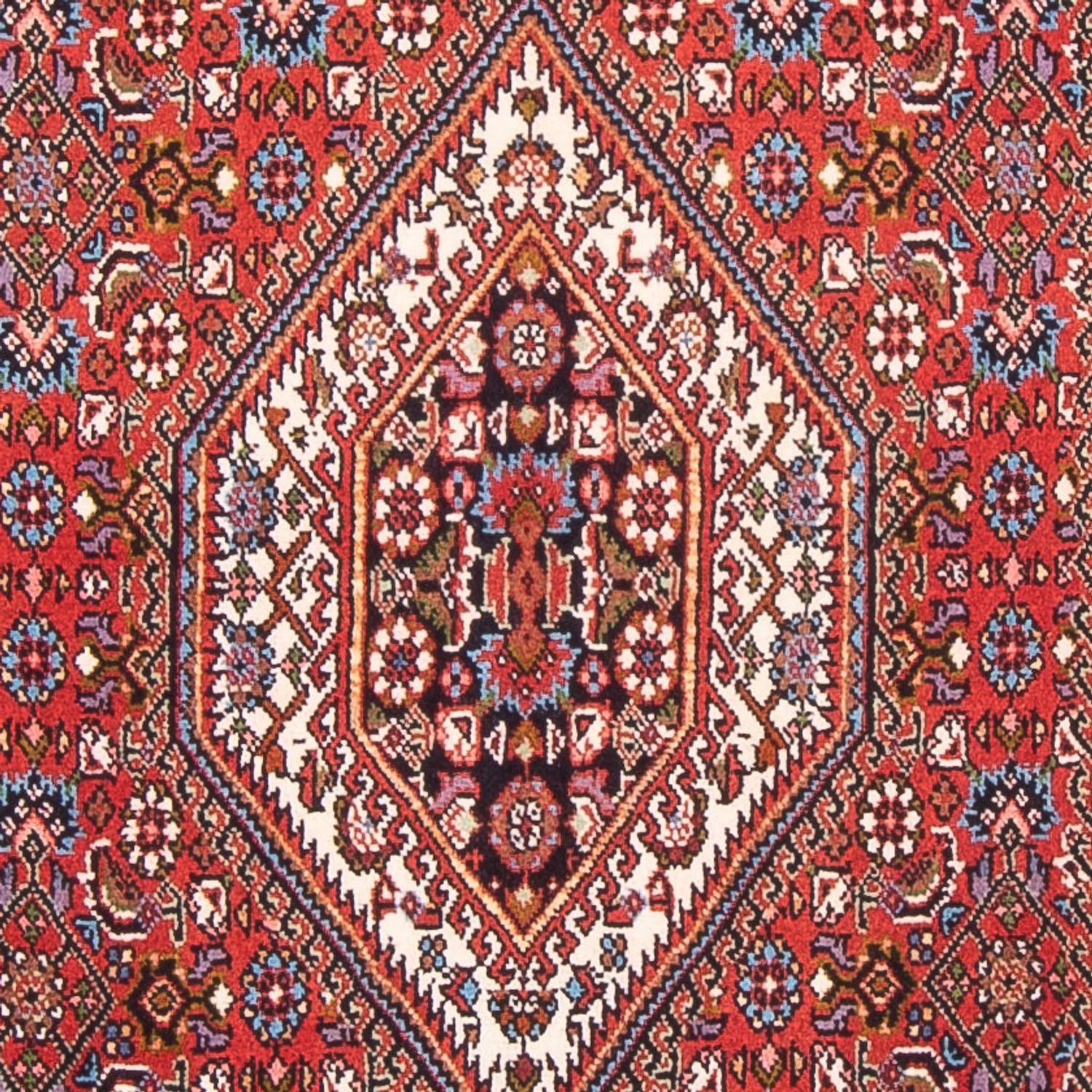Persisk tæppe - Bijar - Royal - 150 x 83 cm - rød