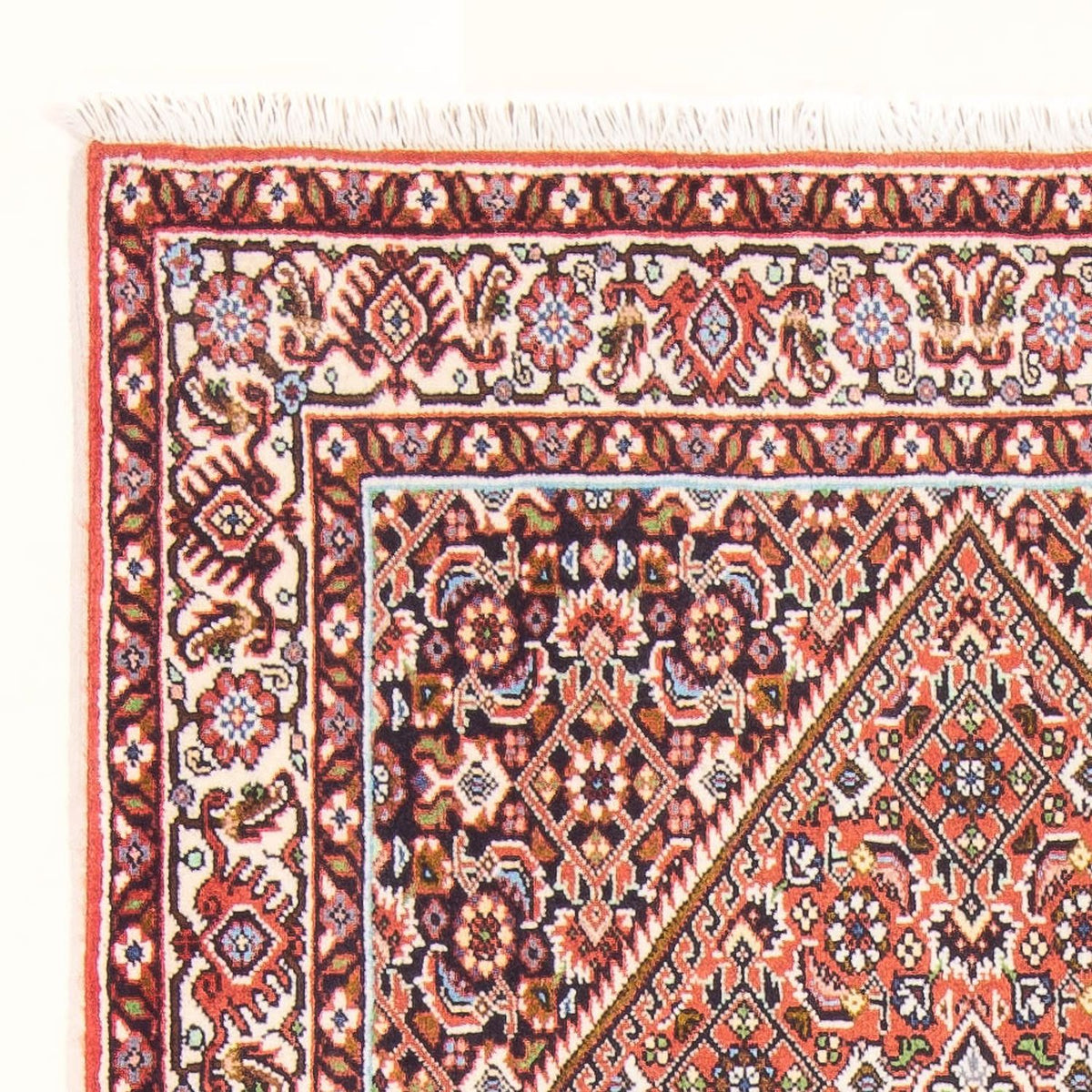 Bidjar - Bukan Tæppe 84x156cm - Persisk tæppe - rød