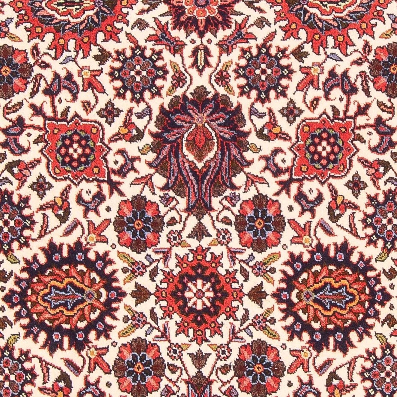 Persisk tæppe - Bijar - Royal - 150 x 86 cm - beige