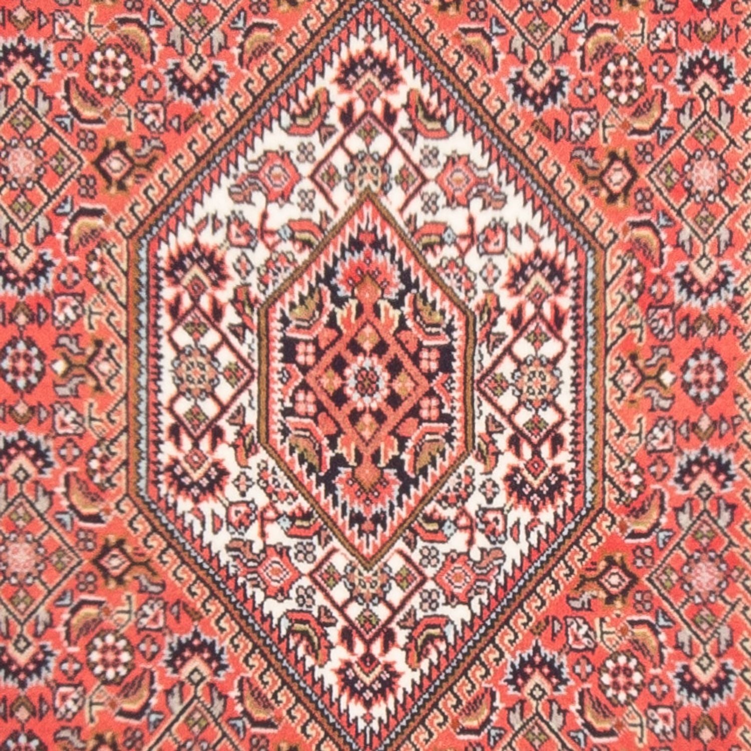 Persisk tæppe - Bijar - Royal - 133 x 84 cm - rød